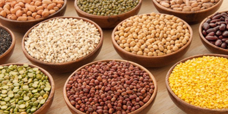 flexitarian pantry