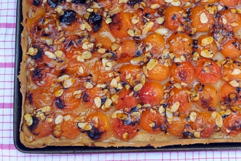 apricot tart [vegan]