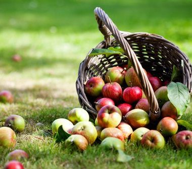 10 Vegetarian Apple Recipes