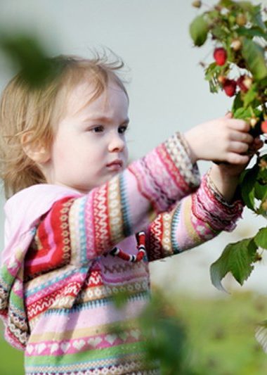 foraging