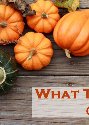 seasonal food october