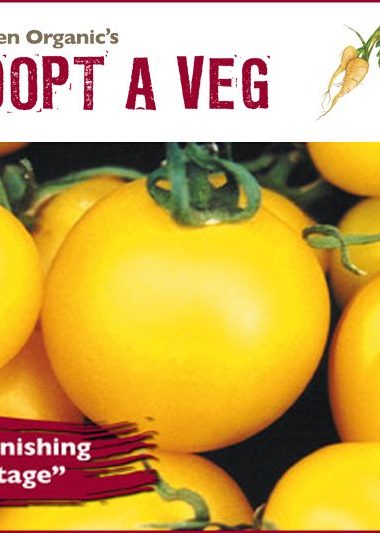 Adopt a Veg