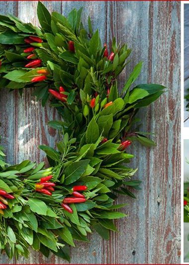 Edible Christmas Wreath and Decoration