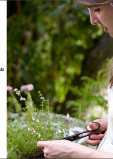 Rachel de Thample Foraging & Urban Ingredients Course