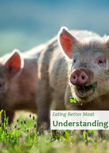 Eating Better Meat - Understanding Welfare Labels