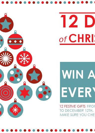 12 Days of Christmas Competition