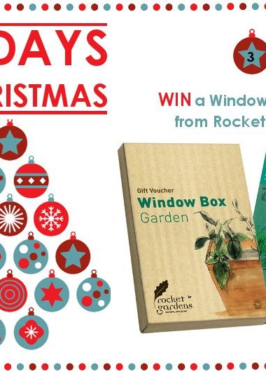 WIN a Window Box Garden &ndash; 12 Days of Christmas Competition Day 3