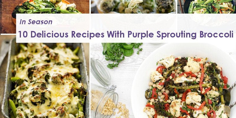 10 Delicious Recipes With Purple Sprouting Broccoli