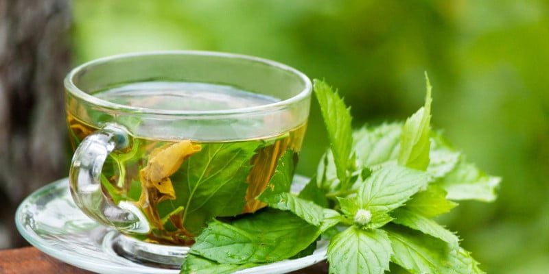 Take Healthy Route To Look Gorgeous And Fit With Teami 30 Day Detox Tea