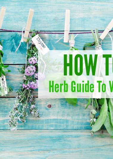 Herb Guide to Vegan Cooking
