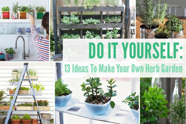 13 DIY Ideas To Make Your Own Herb Garden