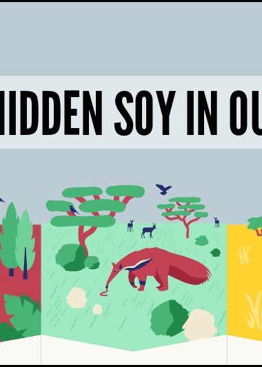 The Hidden Soy In Our Diets