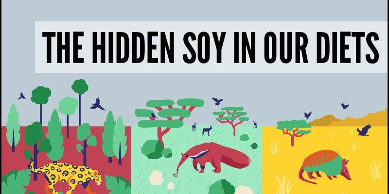 The Hidden Soy In Our Diets