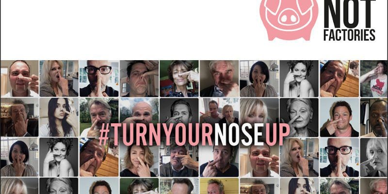 #TurnYourNoseUp at Pig Factories