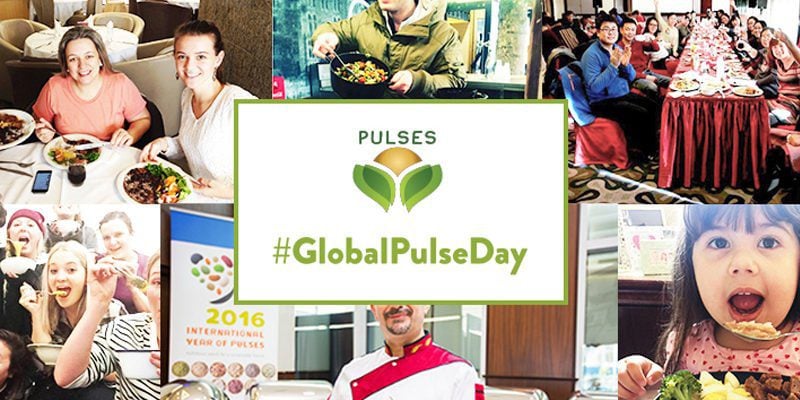 World Pulse Day 2017