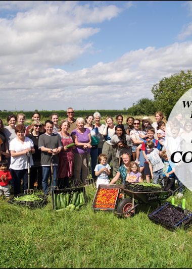 Sutton Community Farm Share Offer