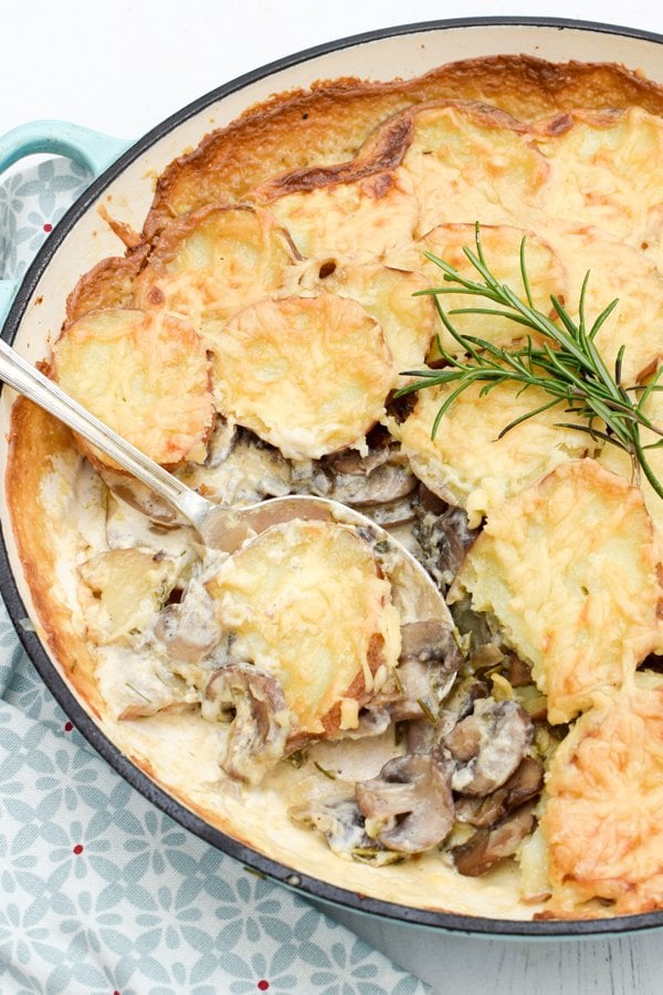 mushroom & potato gratin [vegetarian]