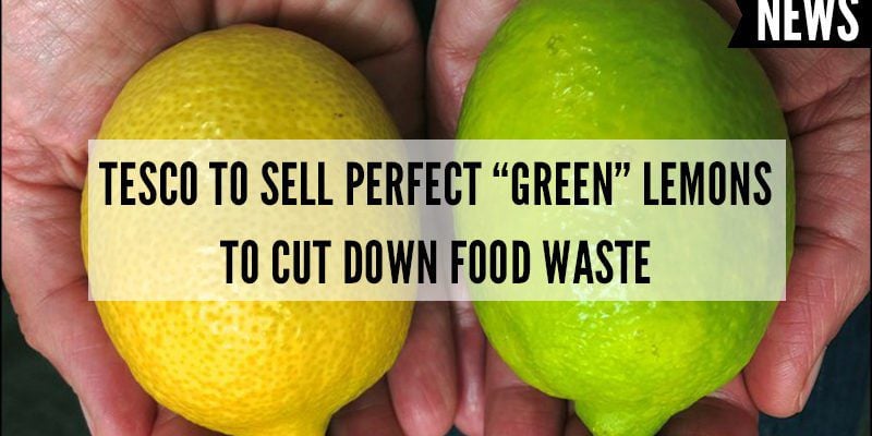 Tesco to Sell Perfect Green Lemons to Cut Down on Food Waste