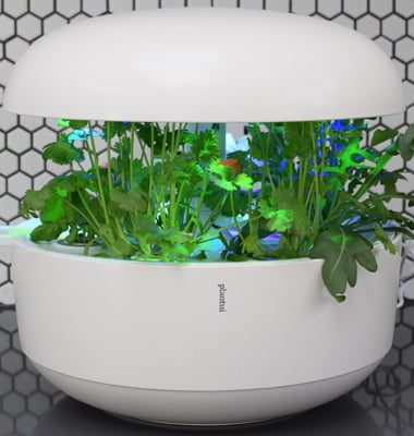 Review Plantui 6 Indoor Smart Garden v8