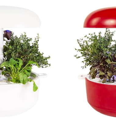 Win A Plantui 6 Indoor Smart Garden v8