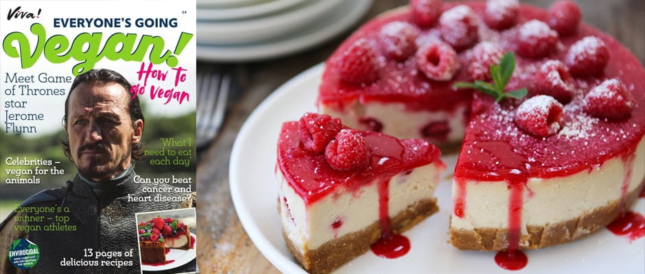 Get 16 Delicious Vegan Recipes – For Free – In New Magazine v6
