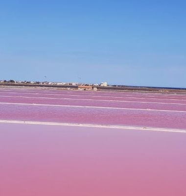 Le Salin de Gruissan