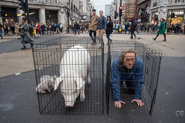 #PigsInChain : Most British High Street Supermarkets & Food Chains Sell Pork From Factory Farms