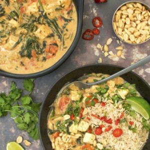 Tofu & Spinach Peanut Butter Stew [vegan] © Annabelle Randles | The Flexitarian