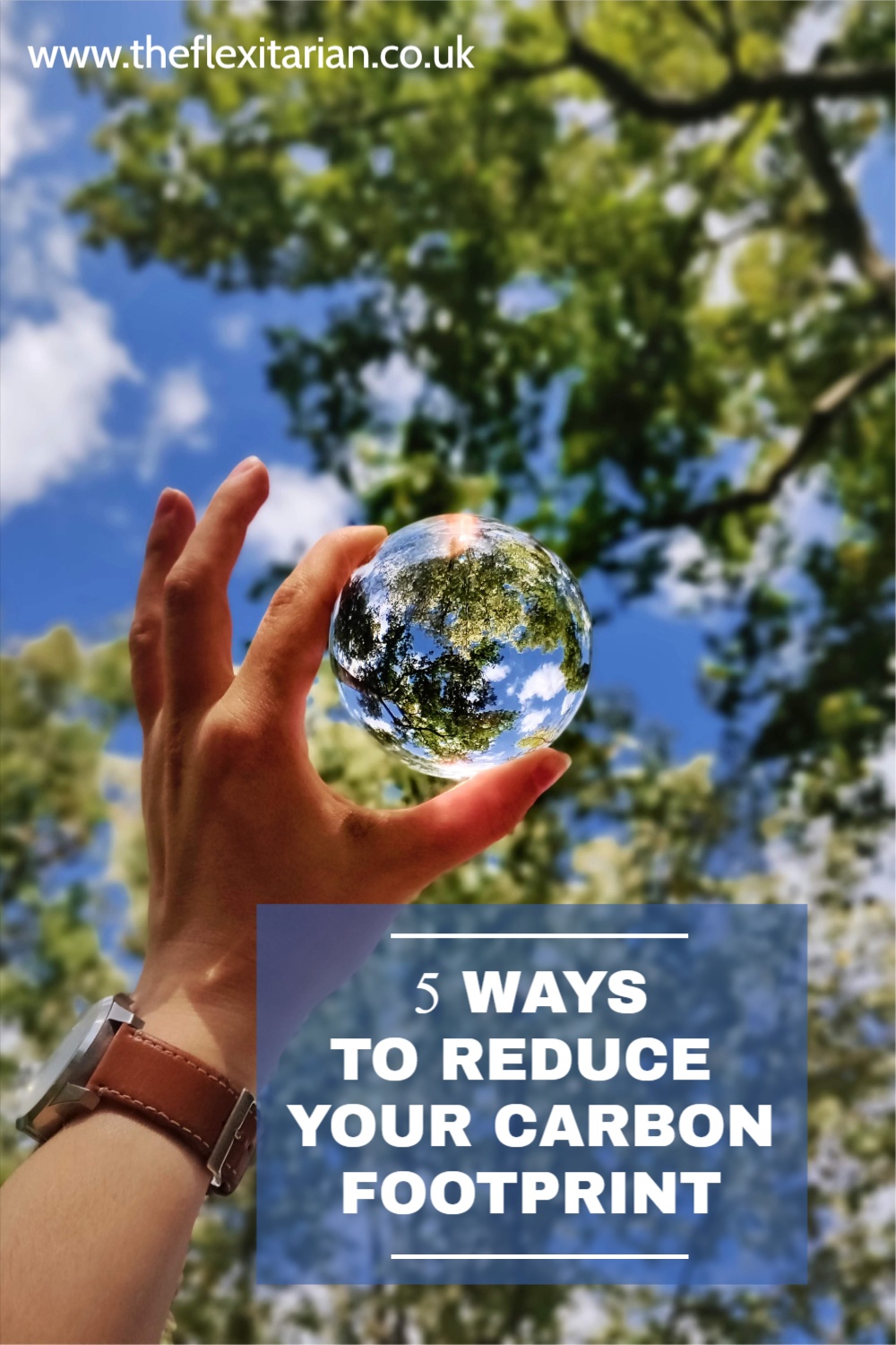 5 Ways To Reduce Your Carbon Footprint
