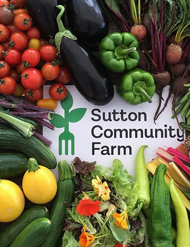 Save Sutton Community Farm Crowdfunder