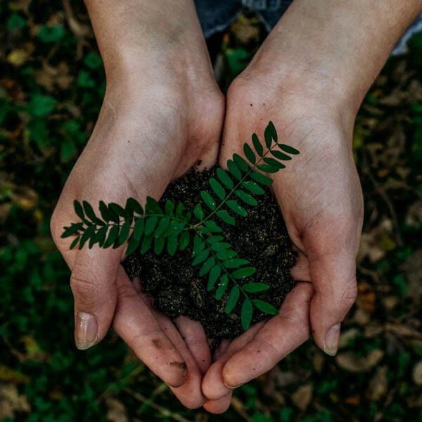 Smart and simple steps for a greener home