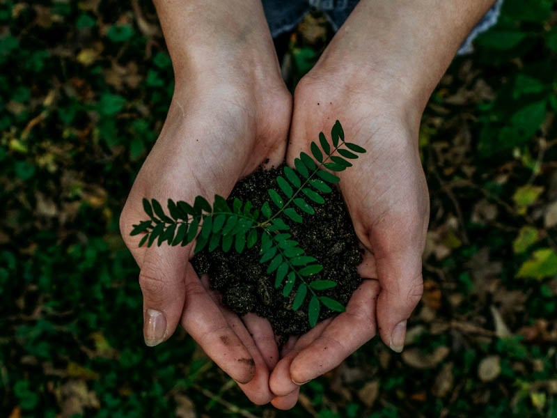 Steps for a Greener Home: Easy Sustainable Tips