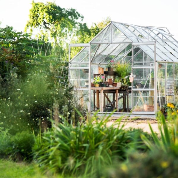 Eco-Friendly Garden Planning Made Easy: How to Design a Sustainable Outdoor Space at Home
