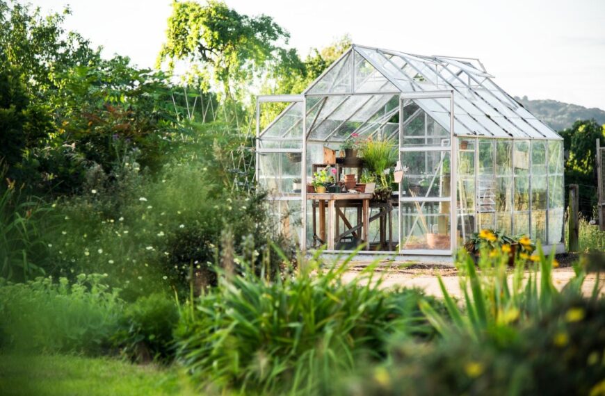 Eco-Friendly Garden Planning Made Easy: How to Design a Sustainable Outdoor Space at Home