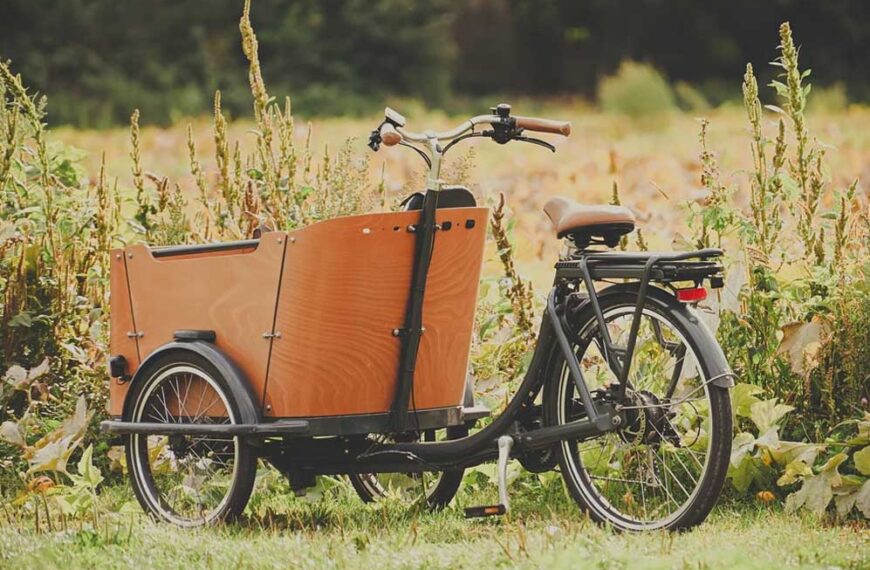 What Makes a Place Truly Eco-Friendly for Travellers?