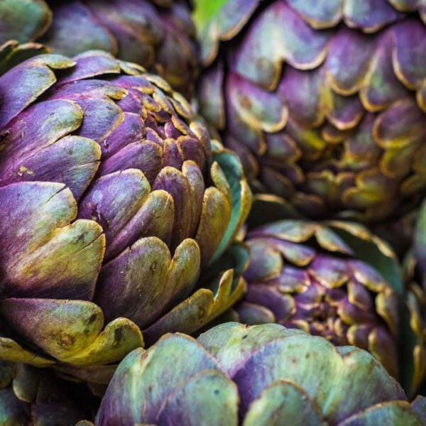 How to Cook Artichokes Perfectly Every Time