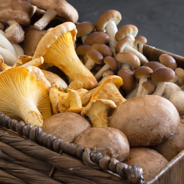 How to Cook Mushrooms (The Ultimate Guide for Perfect Results Every Time)