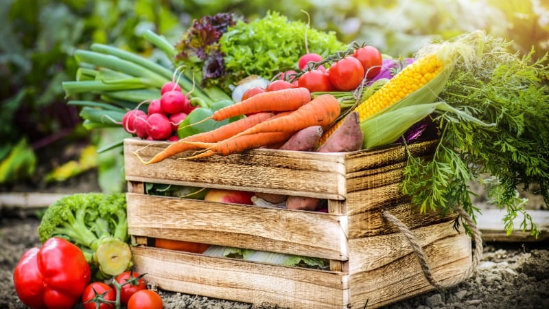 Autumn Glut Recipes: What to Do With Your Grow Your Own Surplus