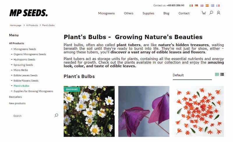 plant bulb