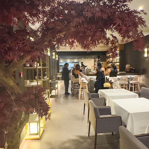 Rai London Review: A Vegetarian Omakase That Breaks the Mould