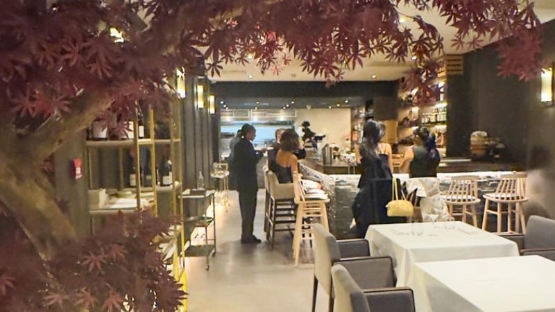 Rai London Review: A Vegetarian Omakase That Breaks the Mould