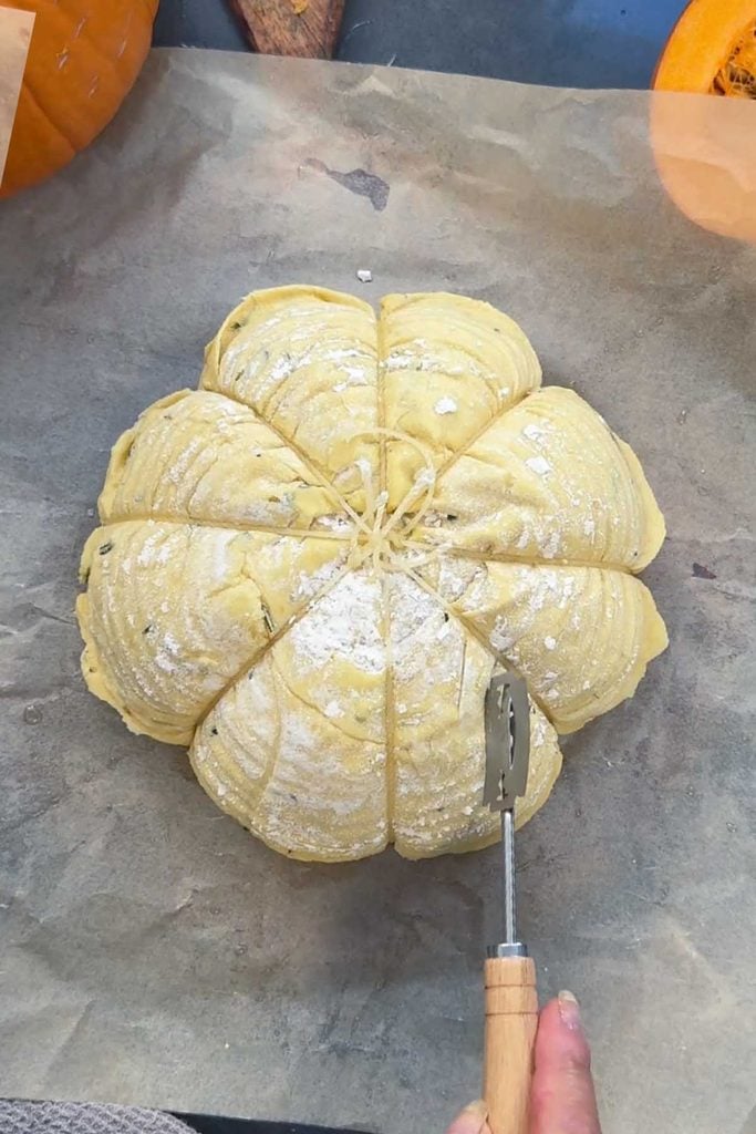 Twine-tied pumpkin shaped dough dusted with flour and scored with a lame into segments, ready to bake
