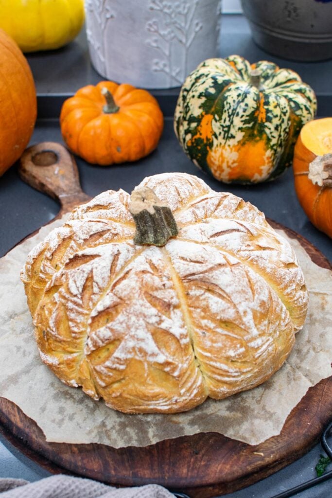 Pumpkin shaped bread topped with a real pumpkin stalk, next to small orange pumpkins and squash