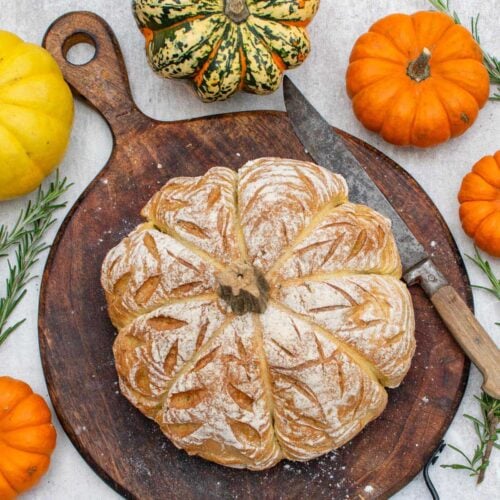 Pumpkin shaped bread with a scored, floured crust on a wooden board, surrounded by mini pumpkins, squash and fresh rosemary