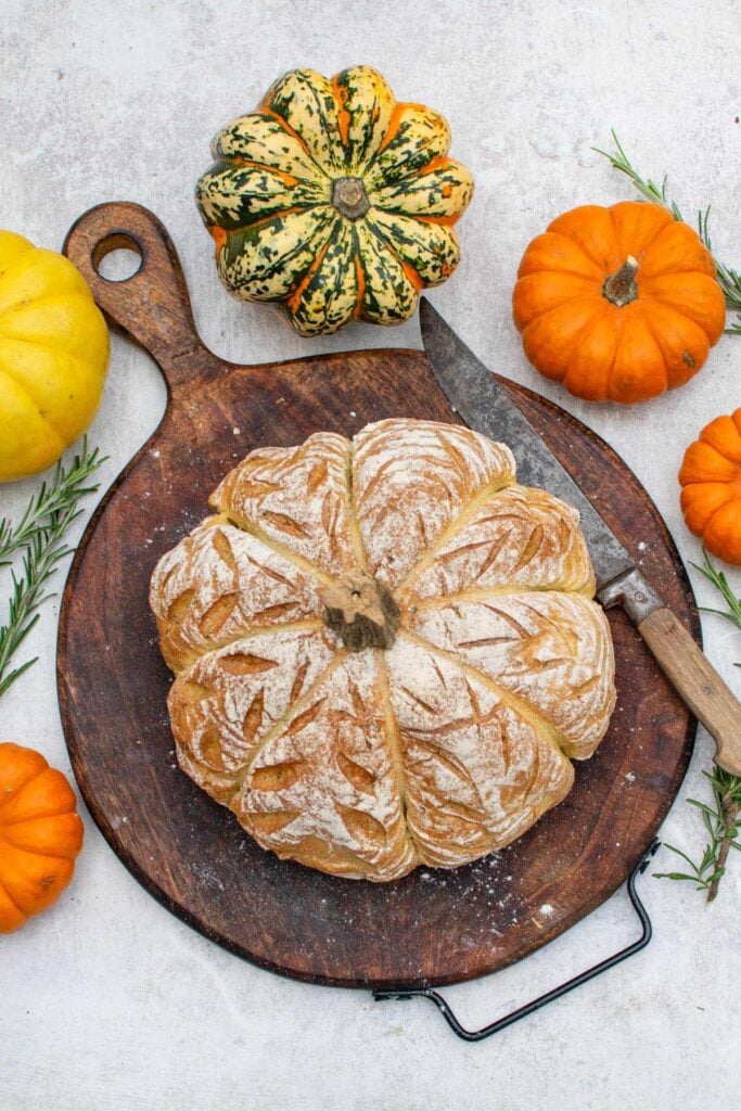 Pumpkin shaped bread with a scored, floured crust on a wooden board, surrounded by mini pumpkins, squash and fresh rosemary