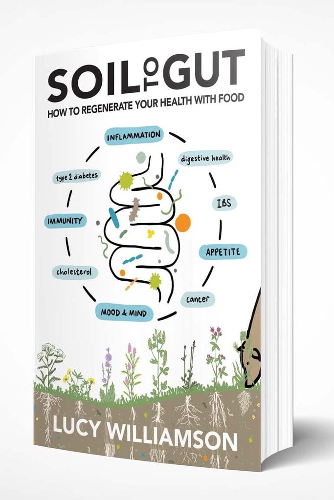 Cover of Soil to Gut: How to Regenerate Your Health with Food by Lucy Williamson